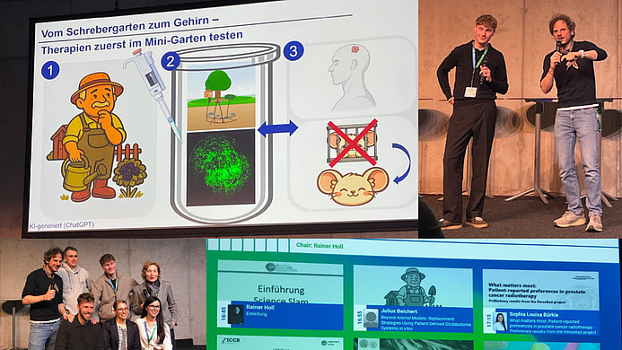 Collage aus vier Fotos: Oben links eine dreistufige Illustration mit einem Gärtner, einem Reagenzglas mit Miniaturgarten und einem Kopf mit rotem Punkt, oben rechts zwei Männer mit Mikrofonen auf einer Bühne, unten links eine Gruppe von sieben Personen auf einer Holzbank, unten rechts eine Präsentationsfolie mit Texten und Logos zum 37. Deutschen Krebskongress in Berlin.
